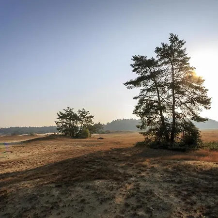 De Rimboe & De Woeste Hoogte هونديرلو